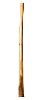 Ironbark Didgeridoo (IB280)